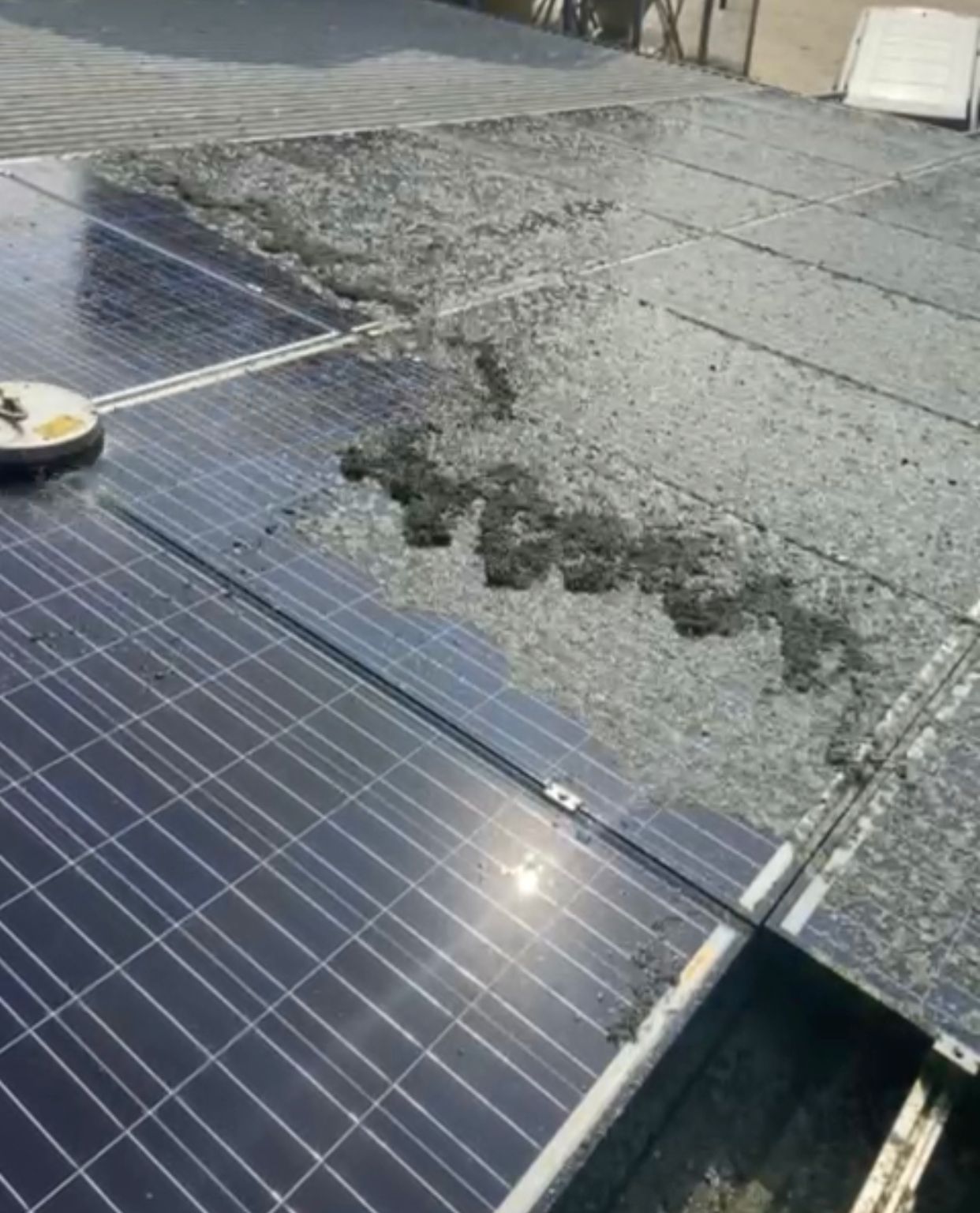 Solarreinigung Photovoltaikreinigung PV-Reinigung Mittelangeln