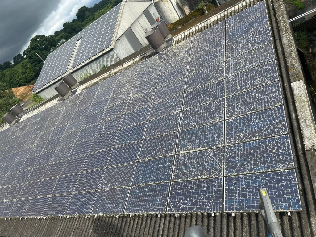 Flechtenentfernung von Solar- und Photovoltaikmodulen durch Frank Galley. Solarreinigung PV-Reinigung Photovoltaikreinigung
