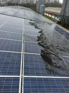 Solarreinigung, Photovoltaik Reinigung, Frank Galley, Solarmodul reinigen, Photovoltaik reinigen, Modul reinigung, bundesweit, Heide, Plön, Niebüll, Leck, Schönberg, Rendsburg, Hamburg, Albersdorf, Meldorf, und umgebung in ihrer nähe, auch bundesweit Albersdorf, Albsfelde Alkersum Almdorf Alt Bennebek Alt Duvenstedt Alt Mölln Altenhof bei Eckernförde Altenholz Altenkrempe Altenmoor Alveslohe Ammersbek Appen, Kreis Pinneberg Arkebek Arlewatt Armstedt Arnis Arpsdorf Ascheberg (Holstein) Ascheffel Aukrug Aumühle bei Hamburg Ausacker Auufer Aventoft Averlak Aasbüttel Achterwehr Achtrup Aebtissinwisch Agethorst Ahlefeld-Bistensee Ahneby Ahrensbök Ahrensburg Ahrenshöft Ahrenviöl Ahrenviölfeld Bad Bramstedt Bad Oldesloe Bad Schwartau Bad Segeberg Badendorf, Holstein Bahrenfleth Bahrenhof, Holstein Bäk bei Ratzeburg Bälau Bargenstedt Bargfeld-Stegen Bargstall Bargstedt, Holstein Bargteheide Bargum Bark bei Bad Segeberg Barkelsby Barkenholm, Holstein Barlt Barmissen Barmstedt Barnitz, Trave Barsbek Barsbüttel Basedow, Kreis Herzogtum Lauenburg Basthorst, Kreis Herzogtum Lauenburg Bebensee Behlendorf Behrendorf bei Husum Behrensdorf (Ostsee) Beidenfleth Bekdorf bei Wilster Bekmünde Belau bei Wankendorf Beldorf Bendfeld Bendorf, Holstein Bergenhusen Bergewöhrden Beringstedt Berkenthin Beschendorf Besdorf Besenthal Bevern, Holstein Bilsen Bimöhlen Bissee Blekendorf Bliestorf Blomesche Wildnis Blumenthal, Holstein Blunk Böel, Angeln Bohmstedt Böhnhusen Bokel bei Elmshorn Bokel bei Rendsburg Bokelrehm Bokholt-Hanredder Bokhorst bei Schenefeld Böklund Boksee Bollingstedt Bondelum Bönebüttel Bönningstedt Boostedt Bordelum Bordesholm Boren Borgdorf-Seedorf Borgstedt bei Rendsburg Borgsum Borgwedel Börm bei Schleswig Bornholt, Holstein Bornhöved Börnsen Borsfleth Borstel bei Neumünster Borstel-Hohenraden Borstorf Bosau Bosbüll Bösdorf bei Plön Bothkamp Bovenau Böxlund Braak bei Hamburg Braderup bei Niebüll Brammer bei Rendsburg Bramstedtlund Brande-Hörnerkirchen Brebel Bredenbek bei Rendsburg Bredstedt Breiholz Breitenberg bei Itzehoe Breitenburg Breitenfelde, Kreis Herzogtum Lauenburg Brekendorf Breklum Brickeln Brinjahe Brodersby bei Kappeln, Schlei Brodersby bei Schleswig Brodersdorf Brokdorf, Holstein Brokstedt Bröthen, Kreis Herzogtum Lauenburg Brügge, Holstein Brunsbek Brunsbüttel Brunsmark Brunstorf, Kreis Herzogtum Lauenburg Büchen, Lauenburg Buchholz, Dithmarschen Buchholz bei Ratzeburg Buchhorst, Kreis Herzogtum Lauenburg Büdelsdorf Bühnsdorf Bullenkuhlen Bünsdorf Bunsoh, Dithmarschen Burg (Dithmarschen) Busdorf bei Schleswig Busenwurth Büsum Büsumer Deichhausen Büttel, Westholst Christiansholm Christinenthal, Holstein Dagebüll Dägeling Dahme, Holstein Dahmker Daldorf Dalldorf, Kreis Herzogtum Lauenburg Damendorf Damlos Dammfleth Damp Damsdorf, Kreis Segeberg Dänischenhagen Dannau, Kreis Plön Dannewerk Dassendorf Dätgen Delingsdorf Dellstedt Delve, Holstein Dersau, Kreis Plön Diekhusen-Fahrstedt Dingen, Dithmarschen Dobersdorf, Holstein Dollerup Dollrottfeld D örnick Dörphof Dörpling Dörpstedt bei Schleswig Drage, Nordfriesland Drage bei Hohenaspe Dreggers Drelsdorf Düchelsdorf Dunsum Duvensee Eckernförde Ecklak Eddelak Eggebek Eggstedt, Holstein Ehndorf Einhaus bei Ratzeburg Eisendorf, Holstein Ekenis Elisabeth-Sophien-Koog Ellerau, Holstein Ellerbek, Kreis Pinneberg Ellerdorf Ellerhoop Ellhöft Ellingstedt Elmenhorst, Kreis Herzogtum Lauenburg Elmenhorst, Kreis Stormarn Elmshorn Elpersbüttel Elsdorf-Westermühlen Elskop Embühren Emkendorf bei Rendsburg Emmelsbüll-Horsbüll Enge-Sande Engelbrechtsche Wildnis Epenwöhrden Erfde Escheburg Esgrus Eutin HH Bereich Hamburg-Altstadt, Billbrook, Billstedt, Borgfelde, Finkenwerder, HafenCity, Hamm, Hammerbrook, Horn, Kleiner Grasbrook, Neustadt, Neuwerk (Exklave), Rothenburgsort, St. Georg, St. Pauli, Steinwerder, Veddel, Waltershof, Wilhelmsburg, Altona-Altstadt, Altona-Nord, Bahrenfeld, Blankenese, Groß Flottbek, Iserbrook, Lurup, Nienstedten, Osdorf, Othmarschen, Ottensen, Rissen, Sternschanze, Sülldorf, Andervenne, Beesten, Börger, Dersum, Dohren, Esterwegen, Fresenburg, Gersten, Handrup, Haselünne, Herzlake, Hüven, Kluse, Lahn, Lehe, Lingen, Lünne Stolk Stolpe bei Neumünster Stoltebüll Stoltenberg Stördorf Störkathen Strande, Holstein Strübbel Struckum Strukdorf Struvenhütten Struxdorf Stubben bei Bad Oldesloe Stuvenborn Süderau Süderbrarup Süderdeich, Dithmarschen Süderdorf Süderende auf Föhr Süderfahrenstedt Süderhackstedt Süderhastedt, Holstein Süderheistedt Süderhöft Süderlügum Südermarsch bei Husum Süderstapel Sülfeld Süsel Sylt Taarstedt Tackesdorf Talkau Tangstedt, Kreis Pinneberg Tangstedt, Kreis Stormarn Tappendorf Tarbek Tarp Tasdorf Tastrup bei Flensburg Tating, Eiderstedt Techelsdorf Tellingstedt Tensbüttel-Röst Tensfeld Tetenbüll Tetenhusen Thaden Thumby, Schwansen Tielen bei Erfde Tielenhemme Timmaspe Timmendorfer Strand Tinningstedt Todenbüttel Todendorf, Kreis Stormarn Todesfelde Tolk Tönning (Nordseebad) Tornesch Tramm, Kreis Herzogtum Lauenburg Trappenkamp Travenbrück Travenhorst Traventhal Treia bei Schleswig Tremsbüttel Trennewurth Trittau Tröndel Tümlauer Koog Tüttendorf Twedt bei Schleswig Fahrdorf Fahren, Holstein Fahrenkrug Fargau-Pratjau Fedderingen Fehmarn Felde, Holstein Feldhorst Felm Fiefbergen Fitzbek Fitzen Fleckeby Flensburg Flintbek Fockbek Föhrden-Barl Fredeburg bei Ratzeburg Fredesdorf Freienwill bei Flensburg Fresendelf Frestedt Friedrich-Wilhelm-Lübke-Koog Friedrichsgabekoog Friedrichsgraben Friedrichsholm Friedrichskoog, Dithmarschen Friedrichstadt an der Eider Fuhlendorf bei Wiemersdorf Fuhlenhagen Galmsbüll Gammelby bei Eckernförde Garding Garding, Kirchspiel Gaushorn Geesthacht Gelting, Angeln Geltorf Geschendorf Gettorf Giekau Giesensdorf bei Ratzeburg Glasau Glinde, Kreis Stormarn Glücksburg (Ostsee) Glückstadt Glüsing, Dithmarschen Gnutz Göhl Gokels Goldebek, Nordfriesland Goldelund Göldenitz bei Berkenthin Goltoft Gönnebek Goosefeld Göttin, Kreis Herzogtum Lauenburg Grabau bei Schwarzenbek Grabau, Kreis Stormarn Grambek Grande Grauel Grebin Gremersdorf, Holstein Grevenkop Grevenkrug Gribbohm Grinau Gröde, Hallig Grödersby Grömitz Grönwohld, Kreis Stormarn Groß Boden Groß Buchwald Groß Disnack Groß Grönau Groß Kummerfeld Groß Niendorf, Holstein Groß Nordende Groß Offenseth-Aspern Groß Pampau Groß Rheide Groß Rönnau Groß Sarau Groß Schenkenberg Groß Vollstedt Groß Wittensee Großbarkau Großenaspe Großenbrode Großenrade Großensee, Kreis Stormarn Großenwiehe Großhansdorf Großharrie Großsolt Grothusenkoog Grove Groven, Dithmarschen Grube, Holstein Grundhof bei Flensburg Güby Gudendorf, Holstein Gudow, Kreis Herzogtum Lauenburg Gülzow, Kreis Herzogtum Lauenburg Güster Haale Haby Hadenfeld Hagen bei Bad Bramstedt Hooge, Hallig Halstenbek, Holstein Hamberge, Holstein Hamdorf bei Rendsburg Hamfelde (Herzogtum Lauenburg) Hamfelde in Holstein (Kreis Stormarn) Hammoor bei Ahrensburg Hamwarde Hamweddel Handewitt Hanerau-Hademarschen Hardebek Harmsdorf bei Ratzeburg Harmsdorf, Holstein Harrislee Hartenholm Haselau Haseldorf Haselund Hasenkrug bei Brokstedt Hasenmoor Hasloh Hasselberg, Ostsee Haßmoor Hattstedt Hattstedtermarsch Havekost bei Schwarzenbek Havetoft Havetoftloit Hedwigenkoog Heede bei Barmstedt Heide / Holstein Heidekamp Heidgraben Heidmoor, Holstein Heidmühlen, Holstein Heikendorf Holstein Heiligenhafen, Holstein Heiligenstedten Heiligenstedtenerkamp Heilshoop Heinkenborstel Heist Helgoland Hellschen-Heringsand-Unterschaar Helmstorf bei Lütjenburg Helse Hemdingen Hemme, Holstein Hemmingstedt Hennstedt / Dithmarschen Hennstedt bei Itzehoe Henstedt-Ulzburg Heringsdorf, Holstein Herzhorn, Holstein Hetlingen Hillgroven Hingstheide Hitzhusen Hochdonn Hodorf Hoffeld bei Bordesholm Högel Högersdorf Högsdorf Hohenaspe Hohenfelde bei Kiel Hohenfelde bei Elmshorn Hohenfelde, Kreis Stormarn Hohenhorn Hohenlockstedt Hohenwestedt Hohn bei Rendsburg Höhndorf Hohwacht (Ostsee) Hoisdorf Hollenbek, Kreis Herzogtum Lauenburg Hollingstedt bei Delve Hollingstedt bei Schleswig Holm bei Süderlügum Holm, Kreis Pinneberg Holstenniendorf Holt bei Medelby Holtsee Holzbunge Holzdorf bei Eckernförde Honigsee Hornbek Hörnum (Sylt) Horst, Kreis Herzogtum Lauenburg Horst (Holstein) Horstedt bei Husum Hörsten bei Rendsburg Hörup Hövede Hude bei Husum Huje Hummelfeld Humptrup Hürup Husby bei Flensburg Hüsby Husum, Nordsee Hüttblek Hütten bei Ascheffel Idstedt Immenstedt bei Albersdorf Immenstedt, Nordfriesland Itzehoe Itzstedt Jagel bei Schleswig Jahrsdorf, Holstein Janneby Jardelund Jerrishoe Jersbek Jevenstedt Joldelund Jörl Jübek Juliusburg HH Bereich Eidelstedt, Eimsbüttel, Harvestehude, Hoheluft-West, Lokstedt, Niendorf, Rotherbaum, Schnelsen, Stellingen, Alsterdorf, Barmbek-Nord, Barmbek-Süd, Dulsberg, Eppendorf, Fuhlsbüttel, Groß Borstel, Hohenfelde, Hoheluft-Ost, Langenhorn, Ohlsdorf, Uhlenhorst, Winterhude, Bergstedt, Bramfeld, Duvenstedt, Eilbek, Farmsen-Berne, Hummelsbüttel, Jenfeld, Lemsahl-Mellingstedt, Marienthal, Poppenbüttel, Rahlstedt, Messingen, Neulehe, Oberlangen, Rastdorf, Rhede, Schapen, Spahnharrenstätte, Stavern, Sustrum, Twist, Walchum, Werpeloh, Wippingen, Bawinkel, Bockhorst, Breddenberg, Holland Niederlande Uelvesbüll Uetersen Uelsby Ulsnis Uphusum bei Süderlügum Utersum Vaale, Holstein Vaalermoor Viöl Vollerwiek Vollstedt Volsemenhusen Waabs Wacken Wagersrott Wahlstedt Wahlstorf bei Preetz Wakendorf I Wakendorf bei Henstedt-Ulzburg Walksfelde Wallen, Holstein Wallsbüll bei Flensburg Wanderup Kiel Kaaks Kabelhorst Kaisborstel Kaiser-Wilhelm-Koog Kaltenkirchen, Holstein Kalübbe, Holstein Kampen (Sylt) Kankelau Kappeln, Schlei Karby, Schwansen Karlum Karolinenkoog Kasseburg bei Trittau Kasseedorf Kastorf, Holstein Katharinenheerd Kattendorf Kayhude Kellenhusen (Ostsee) Kellinghusen Kiebitzreihe Kiesby Kirchbarkau Kirchnüchel Kisdorf, Holstein Kittlitz bei Ratzeburg Klamp Klanxbüll Klappholz Klein Barkau Klein Bennebek Klein Gladebrügge Klein Nordende Klein Offenseth-Sparrieshoop Klein Pampau Klein Rheide Klein Rönnau Klein Wesenberg Klein Wittensee Klein Zecher Klempau Kletkamp Kleve, Dithmarschen Kleve bei Itzehoe Klinkrade, Kreis Herzogtum Lauenburg Klixbüll Koberg, Kreis Herzogtum Lauenburg Köhn Koldenbüttel Kolkerheide Kollmar Kollmoor bei Itzehoe Kölln-Reisiek Kollow, Kreis Herzogtum Lauenburg Königshügel Kosel bei Eckernförde Köthel (Herzogtum Lauenburg) Köthel (Stormarn) Kotzenbüll Krempdorf Krempe, Holstein Krempel, Holstein Kremperheide Krempermoor Krems II Krogaspe Krokau Kronprinzenkoog Kronsgaard Kronshagen Kronsmoor bei Westermoor Kropp bei Schleswig Kröppelshagen-Fahrendorf Krukow, Kreis Herzogtum Lauenburg Krummbek, Holstein Krummendiek Krummesse Krummwisch Krumstedt Krüzen Kuddewörde Kuden Kudensee Kühren bei Preetz Kühsen Kükels Kulpin bei Ratzeburg Kummerfeld bei Pinneberg Lübeck Labenz Laboe Ladelund Lägerdorf Lammershagen, Holstein Landrecht Landscheide bei Sankt Margarethen Langballig Langeln, Kreis Pinneberg Langeneß Langenhorn bei Husum Langenlehsten Langstedt Langwedel, Holstein Lankau Lanze, Kreis Herzogtum Lauenburg Lasbek, Kreis Stormarn Latendorf Lauenburg / Elbe Lebrade Leck Leezen, Holstein Lehe, Dithmarschen Lehmkuhlen bei Preetz Lehmrade, Holstein Lensahn Lentföhrden Lexgaard Lieth Linau Lindau bei Kiel Linden, Holstein Lindewitt List, Sylt Lockstedt, Holstein Lohbarbek Lohe-Föhrden Lohe-Rickelshof Loit Looft Loop, Holstein Loose bei Eckernförde Löptin Lottorf Löwenstedt Lüchow bei Sandesneben Luhnstedt Lunden, Holstein Lürschau Lütau Lütjenburg, Holstein Lütjenholm Lütjensee Lütjenwestedt Lutterbek Lutzhorn Maasbüll bei Flensburg Maasholm Malente Manhagen bei Lensahn Marne, Holstein Marnerdeich Martensrade Mechow bei Ratzeburg Meddewade Medelby Meezen Meggerdorf Mehlbek Meldorf (Holstein) Melsdorf Meyn Midlum, Föhr Mielkendorf Mildstedt Möhnsen Mohrkirch Molfsee Mölln, Kreis Herzogtum Lauenburg Mönkeberg Mönkhagen Mönkloh Moordiek bei Westermoor Moorhusen bei Wilster Moorrege bei Uetersen Mörel bei Hohenwestedt Mözen Mucheln Mühbrook Mühlenbarbek Mühlenrade Munkbrarup Münsterdorf Müssen, Kreis Herzogtum Lauenburg Mustin bei Ratzeburg Nahe Nebel, Amrum Negenharrie Negernbötel Nehms Nehmten Neritz bei Bad Oldesloe Nettelsee Neu Duvenstedt Neuberend Neudorf-Bornstein Neuenbrook, Holstein Neuendeich bei Uetersen Neuendorf bei Elmshorn Neuendorf-Sachsenbande Neuengörs Neuenkirchen, Dithmarschen Neufeld, Dithmarschen Neufelderkoog Neukirchen bei Niebüll Neukirchen bei Oldenburg in Holstein Neumünster, Holstein Neustadt in Holstein Neuwittenbek Neversdorf Nieblum Niebüll (Schleswig) Nieby bei Gelting, Angeln Nienborstel Nienbüttel bei Wacken Niendorf bei Berkenthin Niendorf / Stecknitz Nienwohld Niesgrau Nindorf bei Meldorf Nindorf bei Neumünster Noer Norddeich, Dithmarschen Norddorf, Amrum Norderbrarup Norderfriedrichskoog Norderheistedt Nordermeldorf Norderstapel Norderstedt Norderwöhrden Nordhackstedt Nordhastedt Nordstrand Norstedt HH Bereich Sasel, Steilshoop, Tonndorf, Volksdorf, Wandsbek, Wellingsbüttel, Wohldorf-Ohlstedt, Allermöhe, Altengamme, Bergedorf, Billwerder, Curslack, Kirchwerder, Lohbrügge, Moorfleet, Neuallermöhe, Neuengamme, Ochsenwerder, Reitbrook, Spadenland, Tatenberg, Altenwerder, Cranz, Eißendorf, Francop, Gut Moor, Harburg, Hausbruch, Heimfeld, Langenbek, Marmstorf, Moorburg, Neuenfelde, Dörpen, Emsbüren, Freren, Geeste, Groß Berßen, Haren, Heede, Hilkenbrook, Klein Berßen, Lähden, Langen, Lengerich, Lorup, Meppen, Neubörger, Niederlangen Wangelau Wangels Wankendorf Wapelfeld Warder bei Neumünster Warnau bei Nettelsee Warringholz Warwerort Wasbek Wattenbek Weddelbrook Weddingstedt Wedel Weede Wees Weesby Welmbüttel Welt Wendtorf Wennbüttel Wenningstedt (Sylt) Wensin Wentorf (Amt Sandesneben) Wentorf bei Hamburg Wesenberg, Holstein Wesselburen Wesselburener Deichhausen Wesselburenerkoog Wesseln, Dithmarschen Westensee Wester-Ohrstedt Westerau, Holstein Westerborstel Westerdeichstrich Westerhever Westerholz bei Baureinigung Nortorf bei Neumünster Nortorf bei Wilster Nottfeld Ostdeutschland Neumünster Niebüll Schleswig Brandenburg Mecklenburg-Vorpommern Sachsen Sachsen-Anhalt Thüringen Nusse Kiel Husum Annaburg Dithmarschen Rendsburg Tönning Schleswig Bredstedt Nordfriesland Hamburg Scheessel Mecklenburg Nübbel bei Rendsburg Nübel bei Schleswig Nusse Nutteln, Holstein Nützen Ockholm Odderade Oelixdorf Oering, Holstein Oersberg Oersdorf bei Neumünster Oeschebüttel Oesterdeichstrich Oesterwurth Oevenum Oeversee Offenbüttel Oldenborstel Oldenburg in Holstein Oldenbüttel bei Hanerau-Hademarschen Oldendorf, Holstein Oldenhütten Oldenswort Oldersbek Olderup Oldsum Osdorf bei Kiel Ostenfeld (Husum) Ostenfeld (Rendsburg) Oster-Ohrstedt Osterby bei Eckernförde Osterby bei Medelby Osterhever Osterhorn Osterrade, Dithmarschen Osterrönfeld Osterstedt Ostrohe Oststeinbek Ottenbüttel Ottendorf bei Kiel Owschlag Padenstedt Pahlen Panker Panten Passade Peissen, Holstein Pellworm Pinneberg Plön / Holstein Pogeez Poggensee bei Nusse Pohnsdorf bei Preetz Pölitz, Kreis Stormarn Pommerby bei Gelting, Angeln Poppenbüll Pöschendorf Postfeld Poyenberg Prasdorf Preetz, Holstein Prinzenmoor Prisdorf Probsteierhagen Pronstorf Puls Quarnbek Quarnstedt bei Wrist Quern Quickborn, Dithmarschen Quickborn, Kreis Pinneberg Raa-Besenbek Rabel Rabenholz bei Gelting, Angeln Rabenkirchen-Faulück Rade bei Fitzbek Rade bei Hohenwestedt Rade bei Rendsburg Ramhusen Ramstedt, Nordfriesland Rantrum bei Husum Rantzau Rastorf, Holstein Ratekau Rathjensdorf Ratzeburg Rausdorf, Kreis Stormarn Reesdorf bei Kiel Reher, Holstein Rehhorst, Holstein Rehm-Flehde-Bargen Reinbek Reinfeld (Holstein) Reinsbüttel Rellingen Remmels Rendsburg Rendswühren Rethwisch bei Lägerdorf Rethwisch, Kreis Stormarn Reußenköge Rickert Rickling Riepsdorf Rieseby Ringsberg Risum-Lindholm Ritzerau Rodenäs Rodenbek bei Kiel Rohlstorf, Holstein Römnitz Rondeshagen Rosdorf, Holstein Roseburg Rüde bei Satrup Rügge Ruhwinkel Rumohr Rümpel Sahms Salem bei Ratzeburg Sandesneben Sankt Annen, Dithmarschen Sankt Margarethen Sankt Michaelisdonn Sankt Peter-Ording Sarlhusen Sarzbüttel Satrup Saustrup Schaalby Schacht-Audorf Schackendorf bei Bad Segeberg Schafflund Schafstedt, Dithmarschen Schalkholz Scharbeutz Schashagen Scheggerott Schellhorn bei Preetz Schenefeld bei Hamburg Schenefeld, Mittelholstein Schieren bei Bad Segeberg Schierensee, Holstein Schillsdorf Schinkel bei Gettorf Schiphorst Schlesen Schleswig Schlichting, Dithmarschen Schlotfeld Schmalensee Schmalfeld, Holstein Schmalstede Schmedeswurth Schmilau Schnakenbek Schnarup-Thumby Schönbek, Holstein Schönberg (Kreis Herzogtum Lauenburg) Schönberg (Holstein) Schönhorst, Holstein Schönkirchen, Holstein Schönwalde am Bungsberg Schretstaken Schrum, Dithmarschen Schuby bei Schleswig Schulendorf, Lauenburg Schülldorf Schülp, Dithmarschen Schülp bei Nortorf Schülp bei Rendsburg Schürensöhlen Schwabstedt Schwartbuck Schwarzenbek Schwedeneck Schwentinental Schwesing Schwissel Seedorf, Kreis Herzogtum Lauenburg Seedorf bei Bad Segeberg Seefeld bei Hanerau-Hademarschen Seester Seestermühe Seeth bei Husum Seeth-Ekholt Sehestedt, Eider Selent, Holstein Selk Seth, Holstein Siebenbäumen Siebeneichen, Kreis Herzogtum Lauenburg Siek, Kreis Stormarn Sierksdorf Sierksrade Sievershütten Sieverstedt Siezbüttel Silberstedt Silzen Simonsberg bei Husum Sirksfelde Sollerup Sollwitt Sommerland Sönnebüll Sophienhamm Sören Sörup Sprakebüll Stadum Stafstedt bei Rendsburg Stakendorf Stangheck Stapelfeld, Bezirk Hamburg Stedesand Steenfeld Stein bei Laboe Steinberg bei Flensburg Steinbergkirche Steinburg, Kreis Stormarn Steinfeld bei Schleswig Steinhorst, Kreis Herzogtum Lauenburg Stelle-Wittenwurth Sterley Sterup Stipsdorf Stockelsdorf Stocksee HH Bereich Neugraben-Fischbek, Neuland, Rönneburg, Sinstorf, Wilstorf, Brunswik, Düsternbrook, Ellerbek, Elmschenhagen, Gaarden, Hammer, Hassee, Hasseldieksdamm, Holtenau, Kronsburg, Kroog, Meimersdorf, Mettenhof, Mitte, Moorsee, Neumühlen-Dietrichsdorf, Oppendorf, Pries-Friedrichsort, Ravensberg, Rönne, Russee, Schilksee, Schreventeich, Steenbek-Projensdorf, Suchsdorf, Vieburg,Papenburg, Renkenberge, Salzbergen, Sögel, Spelle, Surwold, Thuine, Vrees, Werlte, Wettrup
