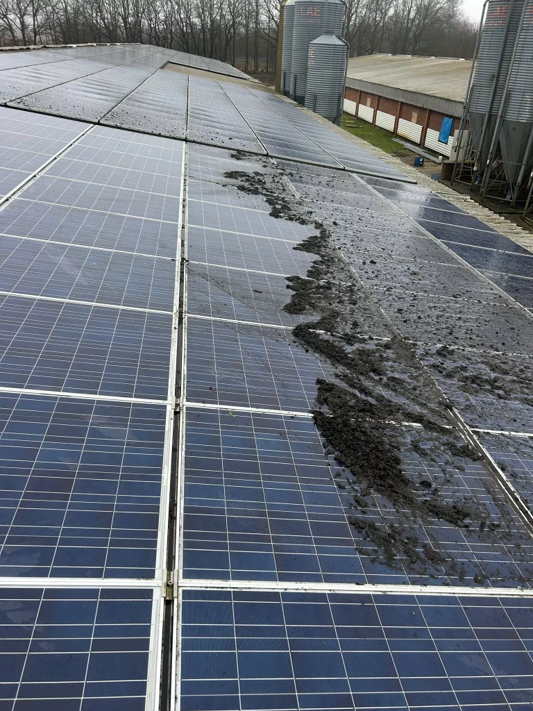 Solarreinigung, Photovoltaik Reinigung in ihrer nähe, auch bundesweit Albersdorf, Albsfelde Alkersum Almdorf Alt Bennebek Alt Duvenstedt Alt Mölln Altenhof bei Eckernförde Altenholz Altenkrempe Altenmoor Alveslohe Ammersbek Appen, Kreis Pinneberg Arkebek Arlewatt Armstedt Arnis Arpsdorf Ascheberg (Holstein) Ascheffel Aukrug Aumühle bei Hamburg Ausacker Auufer Aventoft Averlak Aasbüttel Achterwehr Achtrup Aebtissinwisch Agethorst Ahlefeld-Bistensee Ahneby Ahrensbök Ahrensburg Ahrenshöft Ahrenviöl Ahrenviölfeld Bad Bramstedt Bad Oldesloe Bad Schwartau Bad Segeberg Badendorf, Holstein Bahrenfleth Bahrenhof, Holstein Bäk bei Ratzeburg Bälau Bargenstedt Bargfeld-Stegen Bargstall Bargstedt, Holstein Bargteheide Bargum Bark bei Bad Segeberg Barkelsby Barkenholm, Holstein Barlt Barmissen Barmstedt Barnitz, Trave Barsbek Barsbüttel Basedow, Kreis Herzogtum Lauenburg Basthorst, Kreis Herzogtum Lauenburg Bebensee Behlendorf Behrendorf bei Husum Behrensdorf (Ostsee) Beidenfleth Bekdorf bei Wilster Bekmünde Belau bei Wankendorf Beldorf Bendfeld Bendorf, Holstein Bergenhusen Bergewöhrden Beringstedt Berkenthin Beschendorf Besdorf Besenthal Bevern, Holstein Bilsen Bimöhlen Bissee Blekendorf Bliestorf Blomesche Wildnis Blumenthal, Holstein Blunk Böel, Angeln Bohmstedt Böhnhusen Bokel bei Elmshorn Bokel bei Rendsburg Bokelrehm Bokholt-Hanredder Bokhorst bei Schenefeld Böklund Boksee Bollingstedt Bondelum Bönebüttel Bönningstedt Boostedt Bordelum Bordesholm Boren Borgdorf-Seedorf Borgstedt bei Rendsburg Borgsum Borgwedel Börm bei Schleswig Bornholt, Holstein Bornhöved Börnsen Borsfleth Borstel bei Neumünster Borstel-Hohenraden Borstorf Bosau Bosbüll Bösdorf bei Plön Bothkamp Bovenau Böxlund Braak bei Hamburg Braderup bei Niebüll Brammer bei Rendsburg Bramstedtlund Brande-Hörnerkirchen Brebel Bredenbek bei Rendsburg Bredstedt Breiholz Breitenberg bei Itzehoe Breitenburg Breitenfelde, Kreis Herzogtum Lauenburg Brekendorf Breklum Brickeln Brinjahe Brodersby bei Kappeln, Schlei Brodersby bei Schleswig Brodersdorf Brokdorf, Holstein Brokstedt Bröthen, Kreis Herzogtum Lauenburg Brügge, Holstein Brunsbek Brunsbüttel Brunsmark Brunstorf, Kreis Herzogtum Lauenburg Büchen, Lauenburg Buchholz, Dithmarschen Buchholz bei Ratzeburg Buchhorst, Kreis Herzogtum Lauenburg Büdelsdorf Bühnsdorf Bullenkuhlen Bünsdorf Bunsoh, Dithmarschen Burg (Dithmarschen) Busdorf bei Schleswig Busenwurth Büsum Büsumer Deichhausen Büttel, Westholst Christiansholm Christinenthal, Holstein Dagebüll Dägeling Dahme, Holstein Dahmker Daldorf Dalldorf, Kreis Herzogtum Lauenburg Damendorf Damlos Dammfleth Damp Damsdorf, Kreis Segeberg Dänischenhagen Dannau, Kreis Plön Dannewerk Dassendorf Dätgen Delingsdorf Dellstedt Delve, Holstein Dersau, Kreis Plön Diekhusen-Fahrstedt Dingen, Dithmarschen Dobersdorf, Holstein Dollerup Dollrottfeld D örnick Dörphof Dörpling Dörpstedt bei Schleswig Drage, Nordfriesland Drage bei Hohenaspe Dreggers Drelsdorf Düchelsdorf Dunsum Duvensee Eckernförde Ecklak Eddelak Eggebek Eggstedt, Holstein Ehndorf Einhaus bei Ratzeburg Eisendorf, Holstein Ekenis Elisabeth-Sophien-Koog Ellerau, Holstein Ellerbek, Kreis Pinneberg Ellerdorf Ellerhoop Ellhöft Ellingstedt Elmenhorst, Kreis Herzogtum Lauenburg Elmenhorst, Kreis Stormarn Elmshorn Elpersbüttel Elsdorf-Westermühlen Elskop Embühren Emkendorf bei Rendsburg Emmelsbüll-Horsbüll Enge-Sande Engelbrechtsche Wildnis Epenwöhrden Erfde Escheburg Esgrus Eutin HH Bereich Hamburg-Altstadt, Billbrook, Billstedt, Borgfelde, Finkenwerder, HafenCity, Hamm, Hammerbrook, Horn, Kleiner Grasbrook, Neustadt, Neuwerk (Exklave), Rothenburgsort, St. Georg, St. Pauli, Steinwerder, Veddel, Waltershof, Wilhelmsburg, Altona-Altstadt, Altona-Nord, Bahrenfeld, Blankenese, Groß Flottbek, Iserbrook, Lurup, Nienstedten, Osdorf, Othmarschen, Ottensen, Rissen, Sternschanze, Sülldorf, Andervenne, Beesten, Börger, Dersum, Dohren, Esterwegen, Fresenburg, Gersten, Handrup, Haselünne, Herzlake, Hüven, Kluse, Lahn, Lehe, Lingen, Lünne Stolk Stolpe bei Neumünster Stoltebüll Stoltenberg Stördorf Störkathen Strande, Holstein Strübbel Struckum Strukdorf Struvenhütten Struxdorf Stubben bei Bad Oldesloe Stuvenborn Süderau Süderbrarup Süderdeich, Dithmarschen Süderdorf Süderende auf Föhr Süderfahrenstedt Süderhackstedt Süderhastedt, Holstein Süderheistedt Süderhöft Süderlügum Südermarsch bei Husum Süderstapel Sülfeld Süsel Sylt Taarstedt Tackesdorf Talkau Tangstedt, Kreis Pinneberg Tangstedt, Kreis Stormarn Tappendorf Tarbek Tarp Tasdorf Tastrup bei Flensburg Tating, Eiderstedt Techelsdorf Tellingstedt Tensbüttel-Röst Tensfeld Tetenbüll Tetenhusen Thaden Thumby, Schwansen Tielen bei Erfde Tielenhemme Timmaspe Timmendorfer Strand Tinningstedt Todenbüttel Todendorf, Kreis Stormarn Todesfelde Tolk Tönning (Nordseebad) Tornesch Tramm, Kreis Herzogtum Lauenburg Trappenkamp Travenbrück Travenhorst Traventhal Treia bei Schleswig Tremsbüttel Trennewurth Trittau Tröndel Tümlauer Koog Tüttendorf Twedt bei Schleswig Fahrdorf Fahren, Holstein Fahrenkrug Fargau-Pratjau Fedderingen Fehmarn Felde, Holstein Feldhorst Felm Fiefbergen Fitzbek Fitzen Fleckeby Flensburg Flintbek Fockbek Föhrden-Barl Fredeburg bei Ratzeburg Fredesdorf Freienwill bei Flensburg Fresendelf Frestedt Friedrich-Wilhelm-Lübke-Koog Friedrichsgabekoog Friedrichsgraben Friedrichsholm Friedrichskoog, Dithmarschen Friedrichstadt an der Eider Fuhlendorf bei Wiemersdorf Fuhlenhagen Galmsbüll Gammelby bei Eckernförde Garding Garding, Kirchspiel Gaushorn Geesthacht Gelting, Angeln Geltorf Geschendorf Gettorf Giekau Giesensdorf bei Ratzeburg Glasau Glinde, Kreis Stormarn Glücksburg (Ostsee) Glückstadt Glüsing, Dithmarschen Gnutz Göhl Gokels Goldebek, Nordfriesland Goldelund Göldenitz bei Berkenthin Goltoft Gönnebek Goosefeld Göttin, Kreis Herzogtum Lauenburg Grabau bei Schwarzenbek Grabau, Kreis Stormarn Grambek Grande Grauel Grebin Gremersdorf, Holstein Grevenkop Grevenkrug Gribbohm Grinau Gröde, Hallig Grödersby Grömitz Grönwohld, Kreis Stormarn Groß Boden Groß Buchwald Groß Disnack Groß Grönau Groß Kummerfeld Groß Niendorf, Holstein Groß Nordende Groß Offenseth-Aspern Groß Pampau Groß Rheide Groß Rönnau Groß Sarau Groß Schenkenberg Groß Vollstedt Groß Wittensee Großbarkau Großenaspe Großenbrode Großenrade Großensee, Kreis Stormarn Großenwiehe Großhansdorf Großharrie Großsolt Grothusenkoog Grove Groven, Dithmarschen Grube, Holstein Grundhof bei Flensburg Güby Gudendorf, Holstein Gudow, Kreis Herzogtum Lauenburg Gülzow, Kreis Herzogtum Lauenburg Güster Haale Haby Hadenfeld Hagen bei Bad Bramstedt Hooge, Hallig Halstenbek, Holstein Hamberge, Holstein Hamdorf bei Rendsburg Hamfelde (Herzogtum Lauenburg) Hamfelde in Holstein (Kreis Stormarn) Hammoor bei Ahrensburg Hamwarde Hamweddel Handewitt Hanerau-Hademarschen Hardebek Harmsdorf bei Ratzeburg Harmsdorf, Holstein Harrislee Hartenholm Haselau Haseldorf Haselund Hasenkrug bei Brokstedt Hasenmoor Hasloh Hasselberg, Ostsee Haßmoor Hattstedt Hattstedtermarsch Havekost bei Schwarzenbek Havetoft Havetoftloit Hedwigenkoog Heede bei Barmstedt Heide / Holstein Heidekamp Heidgraben Heidmoor, Holstein Heidmühlen, Holstein Heikendorf Holstein Heiligenhafen, Holstein Heiligenstedten Heiligenstedtenerkamp Heilshoop Heinkenborstel Heist Helgoland Hellschen-Heringsand-Unterschaar Helmstorf bei Lütjenburg Helse Hemdingen Hemme, Holstein Hemmingstedt Hennstedt / Dithmarschen Hennstedt bei Itzehoe Henstedt-Ulzburg Heringsdorf, Holstein Herzhorn, Holstein Hetlingen Hillgroven Hingstheide Hitzhusen Hochdonn Hodorf Hoffeld bei Bordesholm Högel Högersdorf Högsdorf Hohenaspe Hohenfelde bei Kiel Hohenfelde bei Elmshorn Hohenfelde, Kreis Stormarn Hohenhorn Hohenlockstedt Hohenwestedt Hohn bei Rendsburg Höhndorf Hohwacht (Ostsee) Hoisdorf Hollenbek, Kreis Herzogtum Lauenburg Hollingstedt bei Delve Hollingstedt bei Schleswig Holm bei Süderlügum Holm, Kreis Pinneberg Holstenniendorf Holt bei Medelby Holtsee Holzbunge Holzdorf bei Eckernförde Honigsee Hornbek Hörnum (Sylt) Horst, Kreis Herzogtum Lauenburg Horst (Holstein) Horstedt bei Husum Hörsten bei Rendsburg Hörup Hövede Hude bei Husum Huje Hummelfeld Humptrup Hürup Husby bei Flensburg Hüsby Husum, Nordsee Hüttblek Hütten bei Ascheffel Idstedt Immenstedt bei Albersdorf Immenstedt, Nordfriesland Itzehoe Itzstedt Jagel bei Schleswig Jahrsdorf, Holstein Janneby Jardelund Jerrishoe Jersbek Jevenstedt Joldelund Jörl Jübek Juliusburg HH Bereich Eidelstedt, Eimsbüttel, Harvestehude, Hoheluft-West, Lokstedt, Niendorf, Rotherbaum, Schnelsen, Stellingen, Alsterdorf, Barmbek-Nord, Barmbek-Süd, Dulsberg, Eppendorf, Fuhlsbüttel, Groß Borstel, Hohenfelde, Hoheluft-Ost, Langenhorn, Ohlsdorf, Uhlenhorst, Winterhude, Bergstedt, Bramfeld, Duvenstedt, Eilbek, Farmsen-Berne, Hummelsbüttel, Jenfeld, Lemsahl-Mellingstedt, Marienthal, Poppenbüttel, Rahlstedt, Messingen, Neulehe, Oberlangen, Rastdorf, Rhede, Schapen, Spahnharrenstätte, Stavern, Sustrum, Twist, Walchum, Werpeloh, Wippingen, Bawinkel, Bockhorst, Breddenberg, Holland Niederlande Uelvesbüll Uetersen Uelsby Ulsnis Uphusum bei Süderlügum Utersum Vaale, Holstein Vaalermoor Viöl Vollerwiek Vollstedt Volsemenhusen Waabs Wacken Wagersrott Wahlstedt Wahlstorf bei Preetz Wakendorf I Wakendorf bei Henstedt-Ulzburg Walksfelde Wallen, Holstein Wallsbüll bei Flensburg Wanderup Kiel Kaaks Kabelhorst Kaisborstel Kaiser-Wilhelm-Koog Kaltenkirchen, Holstein Kalübbe, Holstein Kampen (Sylt) Kankelau Kappeln, Schlei Karby, Schwansen Karlum Karolinenkoog Kasseburg bei Trittau Kasseedorf Kastorf, Holstein Katharinenheerd Kattendorf Kayhude Kellenhusen (Ostsee) Kellinghusen Kiebitzreihe Kiesby Kirchbarkau Kirchnüchel Kisdorf, Holstein Kittlitz bei Ratzeburg Klamp Klanxbüll Klappholz Klein Barkau Klein Bennebek Klein Gladebrügge Klein Nordende Klein Offenseth-Sparrieshoop Klein Pampau Klein Rheide Klein Rönnau Klein Wesenberg Klein Wittensee Klein Zecher Klempau Kletkamp Kleve, Dithmarschen Kleve bei Itzehoe Klinkrade, Kreis Herzogtum Lauenburg Klixbüll Koberg, Kreis Herzogtum Lauenburg Köhn Koldenbüttel Kolkerheide Kollmar Kollmoor bei Itzehoe Kölln-Reisiek Kollow, Kreis Herzogtum Lauenburg Königshügel Kosel bei Eckernförde Köthel (Herzogtum Lauenburg) Köthel (Stormarn) Kotzenbüll Krempdorf Krempe, Holstein Krempel, Holstein Kremperheide Krempermoor Krems II Krogaspe Krokau Kronprinzenkoog Kronsgaard Kronshagen Kronsmoor bei Westermoor Kropp bei Schleswig Kröppelshagen-Fahrendorf Krukow, Kreis Herzogtum Lauenburg Krummbek, Holstein Krummendiek Krummesse Krummwisch Krumstedt Krüzen Kuddewörde Kuden Kudensee Kühren bei Preetz Kühsen Kükels Kulpin bei Ratzeburg Kummerfeld bei Pinneberg Lübeck Labenz Laboe Ladelund Lägerdorf Lammershagen, Holstein Landrecht Landscheide bei Sankt Margarethen Langballig Langeln, Kreis Pinneberg Langeneß Langenhorn bei Husum Langenlehsten Langstedt Langwedel, Holstein Lankau Lanze, Kreis Herzogtum Lauenburg Lasbek, Kreis Stormarn Latendorf Lauenburg / Elbe Lebrade Leck Leezen, Holstein Lehe, Dithmarschen Lehmkuhlen bei Preetz Lehmrade, Holstein Lensahn Lentföhrden Lexgaard Lieth Linau Lindau bei Kiel Linden, Holstein Lindewitt List, Sylt Lockstedt, Holstein Lohbarbek Lohe-Föhrden Lohe-Rickelshof Loit Looft Loop, Holstein Loose bei Eckernförde Löptin Lottorf Löwenstedt Lüchow bei Sandesneben Luhnstedt Lunden, Holstein Lürschau Lütau Lütjenburg, Holstein Lütjenholm Lütjensee Lütjenwestedt Lutterbek Lutzhorn Maasbüll bei Flensburg Maasholm Malente Manhagen bei Lensahn Marne, Holstein Marnerdeich Martensrade Mechow bei Ratzeburg Meddewade Medelby Meezen Meggerdorf Mehlbek Meldorf (Holstein) Melsdorf Meyn Midlum, Föhr Mielkendorf Mildstedt Möhnsen Mohrkirch Molfsee Mölln, Kreis Herzogtum Lauenburg Mönkeberg Mönkhagen Mönkloh Moordiek bei Westermoor Moorhusen bei Wilster Moorrege bei Uetersen Mörel bei Hohenwestedt Mözen Mucheln Mühbrook Mühlenbarbek Mühlenrade Munkbrarup Münsterdorf Müssen, Kreis Herzogtum Lauenburg Mustin bei Ratzeburg Nahe Nebel, Amrum Negenharrie Negernbötel Nehms Nehmten Neritz bei Bad Oldesloe Nettelsee Neu Duvenstedt Neuberend Neudorf-Bornstein Neuenbrook, Holstein Neuendeich bei Uetersen Neuendorf bei Elmshorn Neuendorf-Sachsenbande Neuengörs Neuenkirchen, Dithmarschen Neufeld, Dithmarschen Neufelderkoog Neukirchen bei Niebüll Neukirchen bei Oldenburg in Holstein Neumünster, Holstein Neustadt in Holstein Neuwittenbek Neversdorf Nieblum Niebüll (Schleswig) Nieby bei Gelting, Angeln Nienborstel Nienbüttel bei Wacken Niendorf bei Berkenthin Niendorf / Stecknitz Nienwohld Niesgrau Nindorf bei Meldorf Nindorf bei Neumünster Noer Norddeich, Dithmarschen Norddorf, Amrum Norderbrarup Norderfriedrichskoog Norderheistedt Nordermeldorf Norderstapel Norderstedt Norderwöhrden Nordhackstedt Nordhastedt Nordstrand Norstedt HH Bereich Sasel, Steilshoop, Tonndorf, Volksdorf, Wandsbek, Wellingsbüttel, Wohldorf-Ohlstedt, Allermöhe, Altengamme, Bergedorf, Billwerder, Curslack, Kirchwerder, Lohbrügge, Moorfleet, Neuallermöhe, Neuengamme, Ochsenwerder, Reitbrook, Spadenland, Tatenberg, Altenwerder, Cranz, Eißendorf, Francop, Gut Moor, Harburg, Hausbruch, Heimfeld, Langenbek, Marmstorf, Moorburg, Neuenfelde, Dörpen, Emsbüren, Freren, Geeste, Groß Berßen, Haren, Heede, Hilkenbrook, Klein Berßen, Lähden, Langen, Lengerich, Lorup, Meppen, Neubörger, Niederlangen Wangelau Wangels Wankendorf Wapelfeld Warder bei Neumünster Warnau bei Nettelsee Warringholz Warwerort Wasbek Wattenbek Weddelbrook Weddingstedt Wedel Weede Wees Weesby Welmbüttel Welt Wendtorf Wennbüttel Wenningstedt (Sylt) Wensin Wentorf (Amt Sandesneben) Wentorf bei Hamburg Wesenberg, Holstein Wesselburen Wesselburener Deichhausen Wesselburenerkoog Wesseln, Dithmarschen Westensee Wester-Ohrstedt Westerau, Holstein Westerborstel Westerdeichstrich Westerhever Westerholz bei Baureinigung Nortorf bei Neumünster Nortorf bei Wilster Nottfeld Ostdeutschland Neumünster Niebüll Schleswig Brandenburg Mecklenburg-Vorpommern Sachsen Sachsen-Anhalt Thüringen Nusse Kiel Husum Annaburg Dithmarschen Rendsburg Tönning Schleswig Bredstedt Nordfriesland Hamburg Scheessel Mecklenburg Nübbel bei Rendsburg Nübel bei Schleswig Nusse Nutteln, Holstein Nützen Ockholm Odderade Oelixdorf Oering, Holstein Oersberg Oersdorf bei Neumünster Oeschebüttel Oesterdeichstrich Oesterwurth Oevenum Oeversee Offenbüttel Oldenborstel Oldenburg in Holstein Oldenbüttel bei Hanerau-Hademarschen Oldendorf, Holstein Oldenhütten Oldenswort Oldersbek Olderup Oldsum Osdorf bei Kiel Ostenfeld (Husum) Ostenfeld (Rendsburg) Oster-Ohrstedt Osterby bei Eckernförde Osterby bei Medelby Osterhever Osterhorn Osterrade, Dithmarschen Osterrönfeld Osterstedt Ostrohe Oststeinbek Ottenbüttel Ottendorf bei Kiel Owschlag Padenstedt Pahlen Panker Panten Passade Peissen, Holstein Pellworm Pinneberg Plön / Holstein Pogeez Poggensee bei Nusse Pohnsdorf bei Preetz Pölitz, Kreis Stormarn Pommerby bei Gelting, Angeln Poppenbüll Pöschendorf Postfeld Poyenberg Prasdorf Preetz, Holstein Prinzenmoor Prisdorf Probsteierhagen Pronstorf Puls Quarnbek Quarnstedt bei Wrist Quern Quickborn, Dithmarschen Quickborn, Kreis Pinneberg Raa-Besenbek Rabel Rabenholz bei Gelting, Angeln Rabenkirchen-Faulück Rade bei Fitzbek Rade bei Hohenwestedt Rade bei Rendsburg Ramhusen Ramstedt, Nordfriesland Rantrum bei Husum Rantzau Rastorf, Holstein Ratekau Rathjensdorf Ratzeburg Rausdorf, Kreis Stormarn Reesdorf bei Kiel Reher, Holstein Rehhorst, Holstein Rehm-Flehde-Bargen Reinbek Reinfeld (Holstein) Reinsbüttel Rellingen Remmels Rendsburg Rendswühren Rethwisch bei Lägerdorf Rethwisch, Kreis Stormarn Reußenköge Rickert Rickling Riepsdorf Rieseby Ringsberg Risum-Lindholm Ritzerau Rodenäs Rodenbek bei Kiel Rohlstorf, Holstein Römnitz Rondeshagen Rosdorf, Holstein Roseburg Rüde bei Satrup Rügge Ruhwinkel Rumohr Rümpel Sahms Salem bei Ratzeburg Sandesneben Sankt Annen, Dithmarschen Sankt Margarethen Sankt Michaelisdonn Sankt Peter-Ording Sarlhusen Sarzbüttel Satrup Saustrup Schaalby Schacht-Audorf Schackendorf bei Bad Segeberg Schafflund Schafstedt, Dithmarschen Schalkholz Scharbeutz Schashagen Scheggerott Schellhorn bei Preetz Schenefeld bei Hamburg Schenefeld, Mittelholstein Schieren bei Bad Segeberg Schierensee, Holstein Schillsdorf Schinkel bei Gettorf Schiphorst Schlesen Schleswig Schlichting, Dithmarschen Schlotfeld Schmalensee Schmalfeld, Holstein Schmalstede Schmedeswurth Schmilau Schnakenbek Schnarup-Thumby Schönbek, Holstein Schönberg (Kreis Herzogtum Lauenburg) Schönberg (Holstein) Schönhorst, Holstein Schönkirchen, Holstein Schönwalde am Bungsberg Schretstaken Schrum, Dithmarschen Schuby bei Schleswig Schulendorf, Lauenburg Schülldorf Schülp, Dithmarschen Schülp bei Nortorf Schülp bei Rendsburg Schürensöhlen Schwabstedt Schwartbuck Schwarzenbek Schwedeneck Schwentinental Schwesing Schwissel Seedorf, Kreis Herzogtum Lauenburg Seedorf bei Bad Segeberg Seefeld bei Hanerau-Hademarschen Seester Seestermühe Seeth bei Husum Seeth-Ekholt Sehestedt, Eider Selent, Holstein Selk Seth, Holstein Siebenbäumen Siebeneichen, Kreis Herzogtum Lauenburg Siek, Kreis Stormarn Sierksdorf Sierksrade Sievershütten Sieverstedt Siezbüttel Silberstedt Silzen Simonsberg bei Husum Sirksfelde Sollerup Sollwitt Sommerland Sönnebüll Sophienhamm Sören Sörup Sprakebüll Stadum Stafstedt bei Rendsburg Stakendorf Stangheck Stapelfeld, Bezirk Hamburg Stedesand Steenfeld Stein bei Laboe Steinberg bei Flensburg Steinbergkirche Steinburg, Kreis Stormarn Steinfeld bei Schleswig Steinhorst, Kreis Herzogtum Lauenburg Stelle-Wittenwurth Sterley Sterup Stipsdorf Stockelsdorf Stocksee HH Bereich Neugraben-Fischbek, Neuland, Rönneburg, Sinstorf, Wilstorf, Brunswik, Düsternbrook, Ellerbek, Elmschenhagen, Gaarden, Hammer, Hassee, Hasseldieksdamm, Holtenau, Kronsburg, Kroog, Meimersdorf, Mettenhof, Mitte, Moorsee, Neumühlen-Dietrichsdorf, Oppendorf, Pries-Friedrichsort, Ravensberg, Rönne, Russee, Schilksee, Schreventeich, Steenbek-Projensdorf, Suchsdorf, Vieburg,Papenburg, Renkenberge, Salzbergen, Sögel, Spelle, Surwold, Thuine, Vrees, Werlte, Wettrup