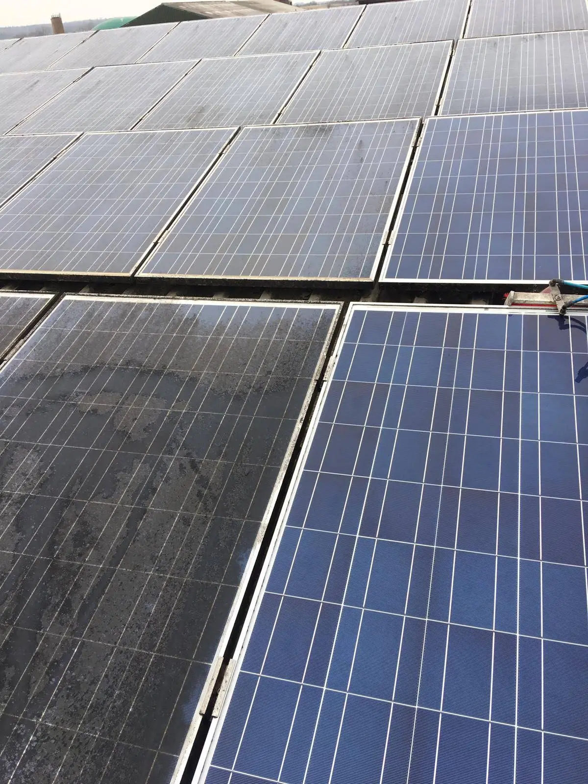 Photovoltaikanlage in Wedel bei der professionellen Reinigung mit Solarreinigungsroboter