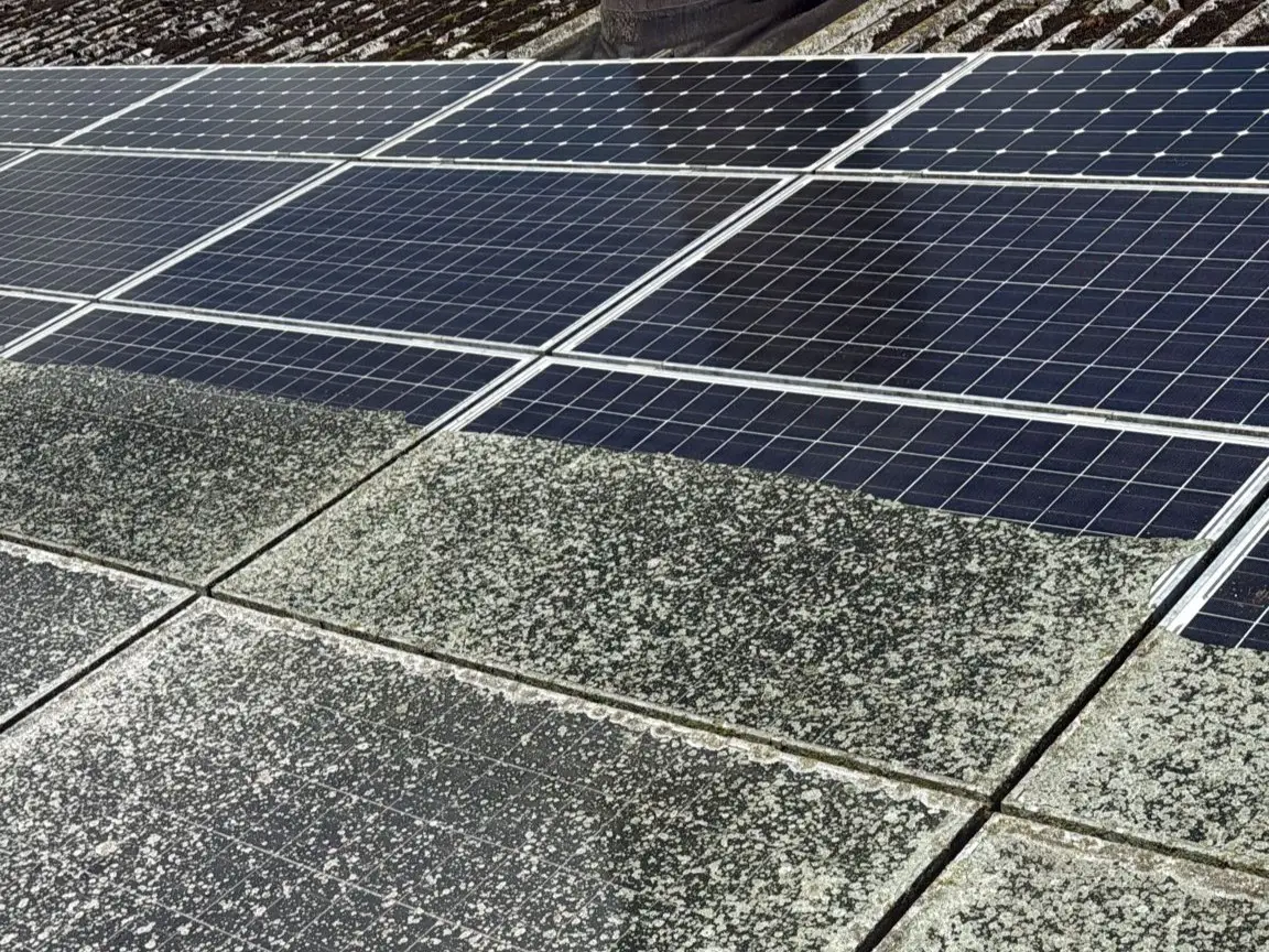 Saubere und gepflegte Solarmodule nach einer professionellen Photovoltaikreinigung