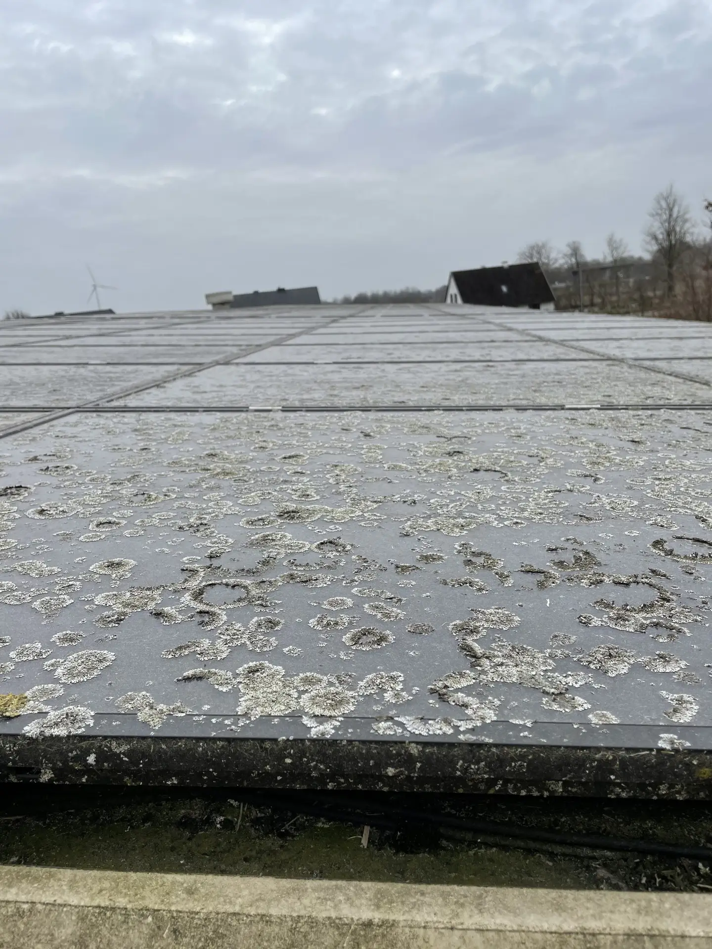 Solarreinigung einer Photovoltaikanlage in Ahrensburg